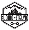 Duomo Stelvio Logo
