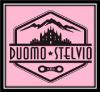 Duomo Stelvio Logo